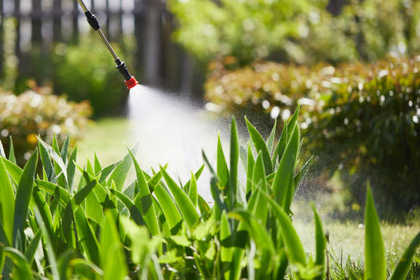 24/7 Emergency Ant Control experts in David City, NE